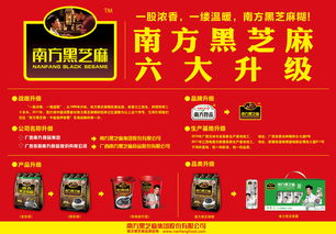 跨界之光 從設(shè)計(jì)到軟件開發(fā)的學(xué)習(xí)之旅